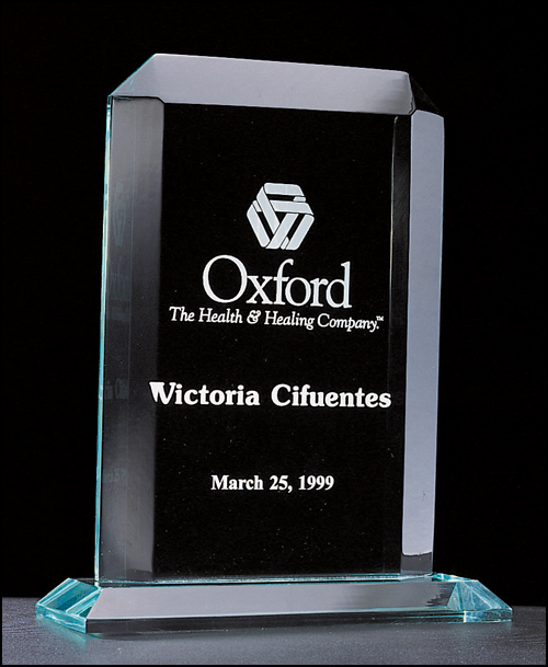 Summit Series Rectangular Acrylic award